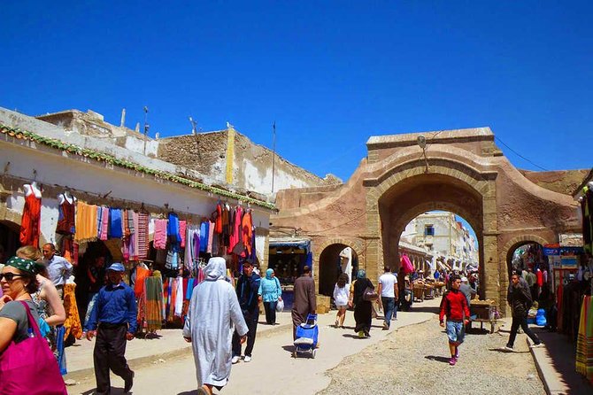 Private Day Trip to Essaouira and Argan Forest from Marrakech - Who should book this Essaouira and argan day trip?