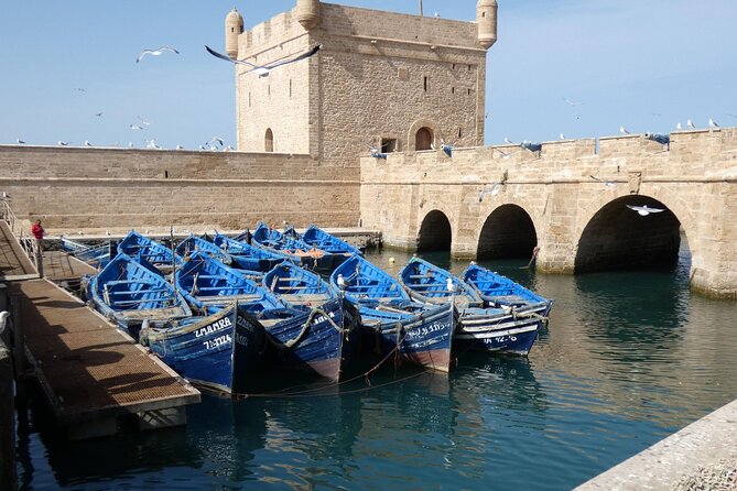 Private Day Trip to Essaouira from Marrakech - Value for $87.11: Private Comfort That Saves Your Energy