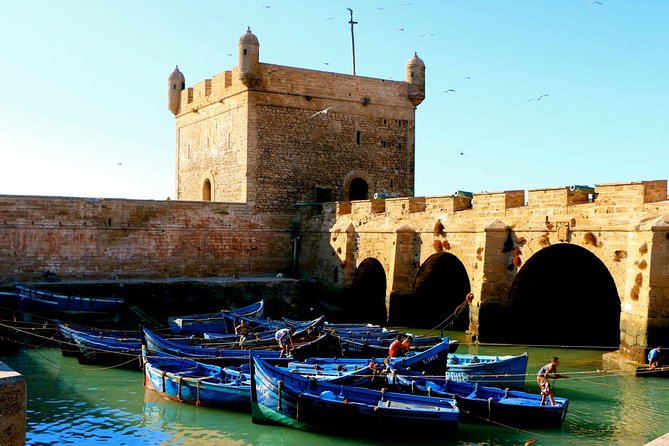 Private Day Trip to Essaouira from Marrakech including 1h-camel - Atlantic Beach Time: Kitesurfers, Wind, and the Camel Ride Question