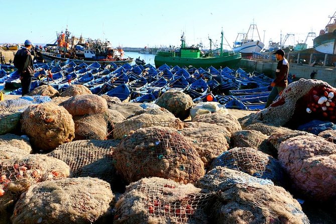 Private Day Trip to Essaouira from Marrakech including 1h-camel - Argan Oil Cooperative Stop: When It’s Worth the Detour