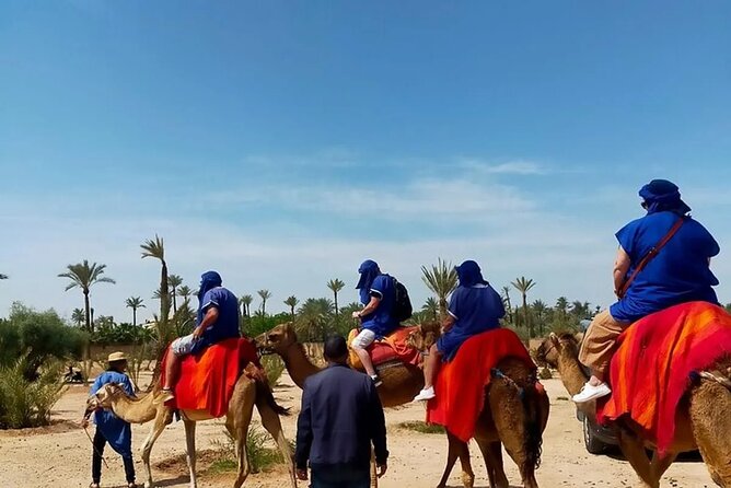 Private Day Trip to Marrakech from Casablanca with Camel Ride - Medina of Marrakesh: Jemaa el-Fnaa Square, Souks, and Time to Wander