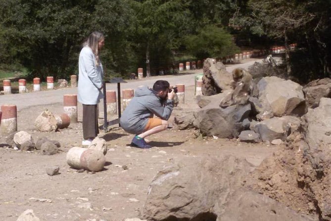 Private day trip to middle atlas from fez - Why the Middle Atlas feels so different from Fes