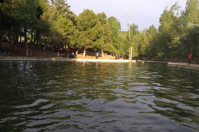 Private day trip to middle atlas from fez - Ifrane National Park: the forest walk that breaks the road-trip mood