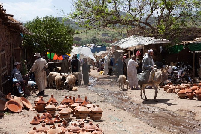 Private day trip to Ourika valley and Atlas Mountains - Key Highlights You’ll Actually Care About