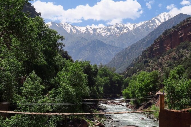 Private Day trip to ourika valley atlas mountains from marrakech - Tnin Ourika Berber Souk: A Weekly Market That Feels Alive