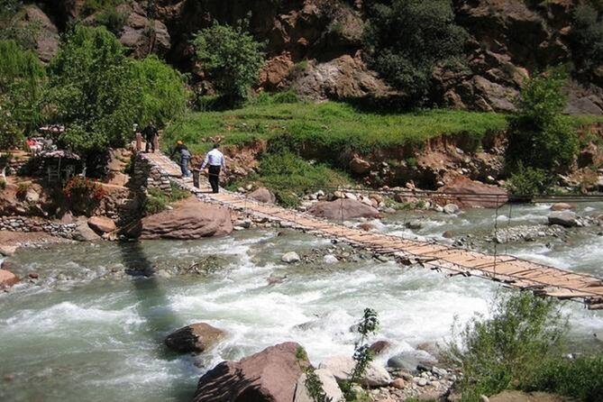 private day trip to Ourika Valley from marrakech - Botanical Gardens and Cafes: When You’ll Want a Slow Cup of Time