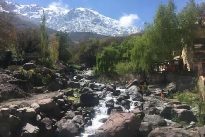 private day trip to Ourika Valley from marrakech - Price and Value: Does $52.27 Make Sense for This Day Trip?