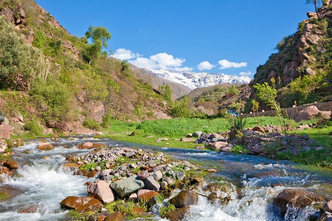 Private Day Trip to Ourika Valley from Marrakech with Lunch - Setti Fatma time: the local guide, the stroll, and waterfall country