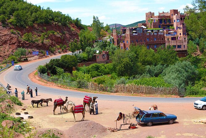 Private Day Trip to Ourika Valley from Marrakech with Lunch - Door-to-door comfort: pickup, drivers, and pacing