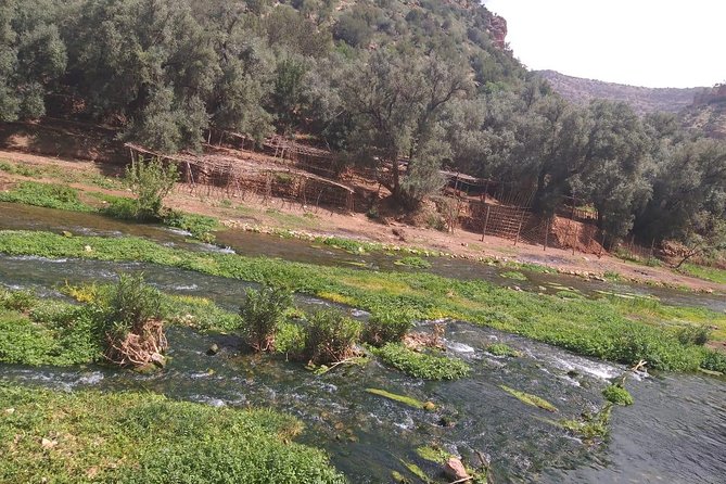 Private day trip to ouzoud waterfall from Marrakech - Pickup and small-group comfort with Tilila Travel