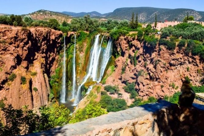 Private day trip to Ouzoud Waterfalls from Marrakech - Time at the cascades: trails, rainbows, boats, and monkeys