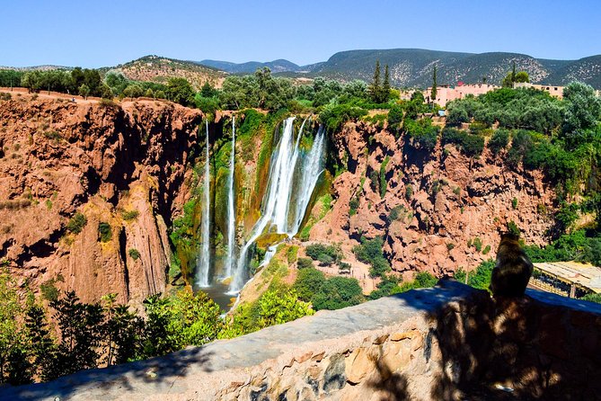 private day trip To Ouzoud watterfalls - Group size and privacy: what private really means here