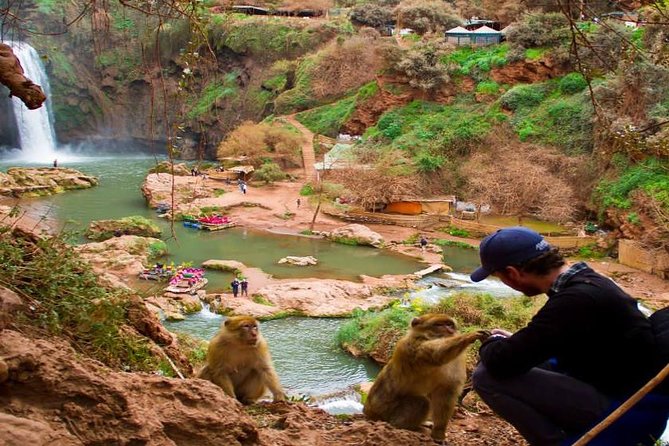 private day trip To Ouzoud watterfalls - Stop 1: Cascades d’Ouzoud, the heart of the day