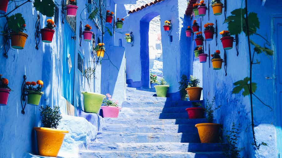 Private - Day Trip to the Blue City of Chefchaouen - Lunch Timing and the Return to Fes by Early Evening