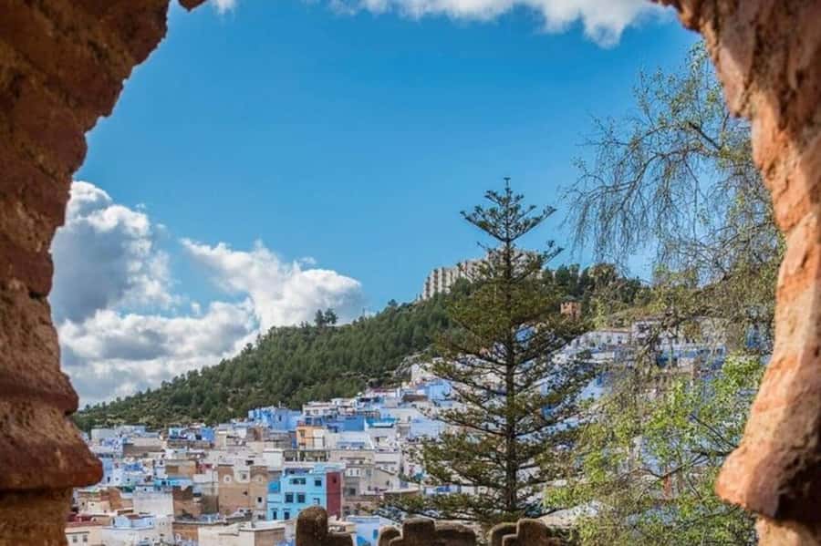 Private - Day Trip to the Blue City of Chefchaouen - Languages, Private Scheduling, and Who This Tour Fits Best
