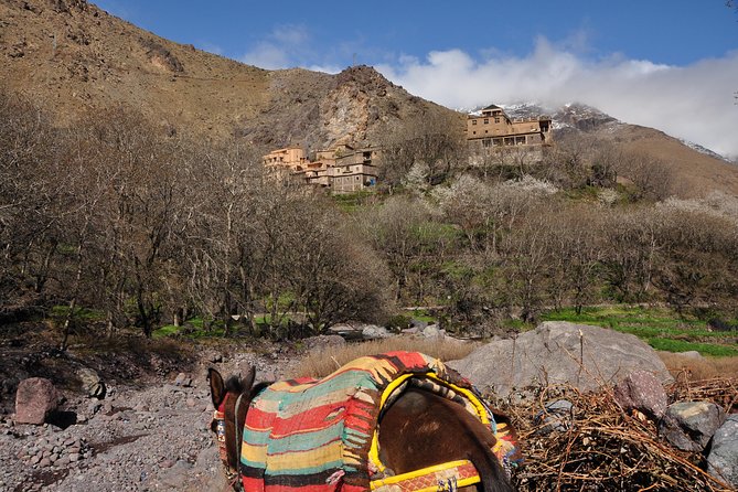Private day trip to the High Atlas from Marrakech, - Key things to know before you go