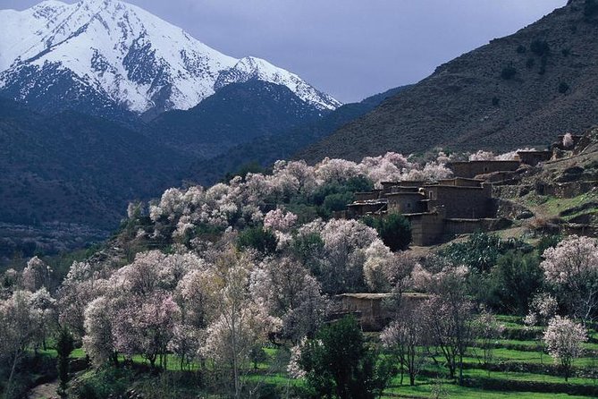 Private Day Trip to the High Atlas Mountains from Marrakech - Setti Fatma waterfalls: choosing your hike and timing lunch right