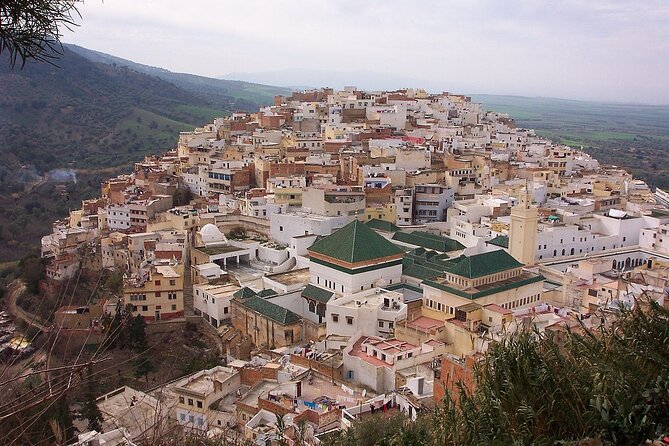 Private Day Trip to Volubilis Meknes and Moulay Driss From Fez - Moulay Idriss Zerhoun: Idris I’s Tomb and a Quiet Reset