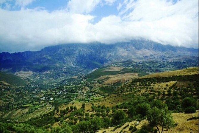 Private Day Trip to Volubilis Meknes and Moulay Driss From Fez - Final Call: Book or Skip?