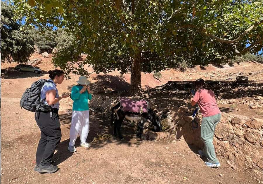 Private Day Trip to Volubilis, Moulay Idriss and Meknes - Key Points Worth Knowing