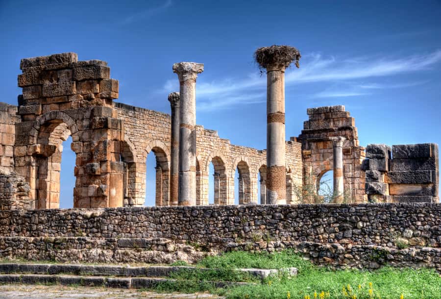 Private Day Trip to Volubilis, Moulay Idriss and Meknes - The Timing: What a 10-Hour Private Day Feels Like