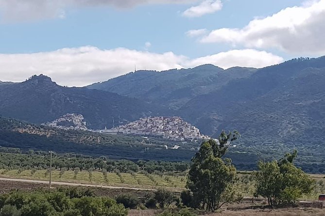 Private Day Trip to Volubilis, Moulay Idriss, and Meknes from Fez (Fes) - A 7-hour Fez day that strings together three big names