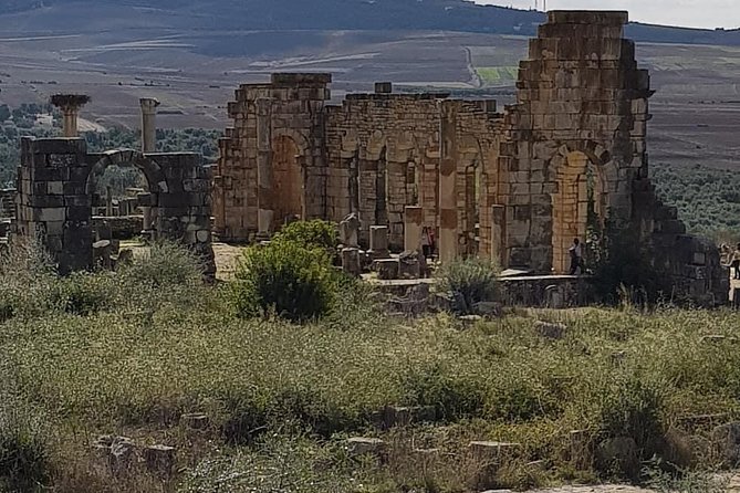 Private Day Trip to Volubilis, Moulay Idriss, and Meknes from Fez (Fes) - La Grande Terrasse: a short stop with meaningful payoff