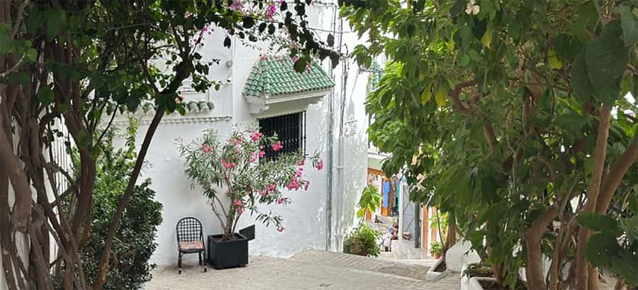 Private DayTrip from Cádiz to Tangier: All in one Experience - Who This Day Trip Fits Best (and Who Might Feel Cramped)