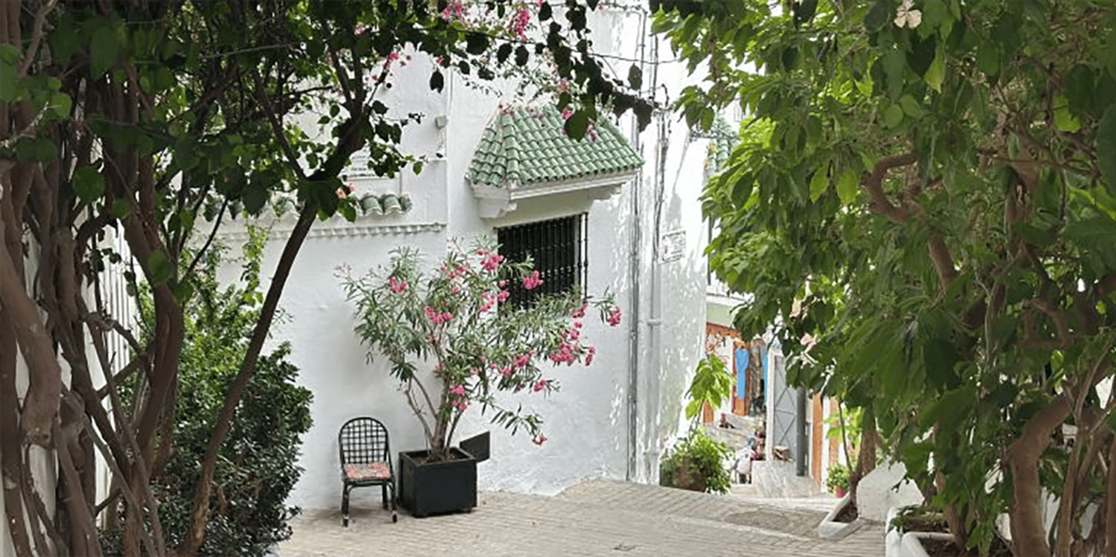 Private DayTrip from Cádiz to Tangier: All in one Experience - Price and Logistics for $511: Is It Good Value or Just Pricey?