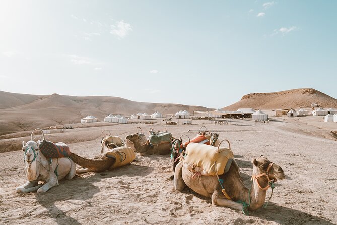 Private Desert Agafay Dinner show & Camel Ride - The 5:00 pm Start: How the Timing Feels on the Ground