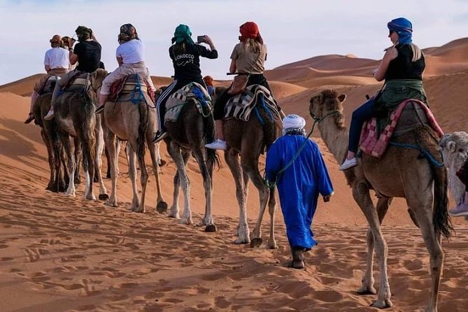 Private Desert Odyssey: Marrakech to Merzouga 3-Day Adventure - Day 3: sunrise camels, Draa Valley, Agdez, and Ouarzazate back to Marrakech