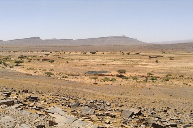Private Desert Tour From Marrakech To Fes Via Desert Sahara - Key Highlights You’ll Care About