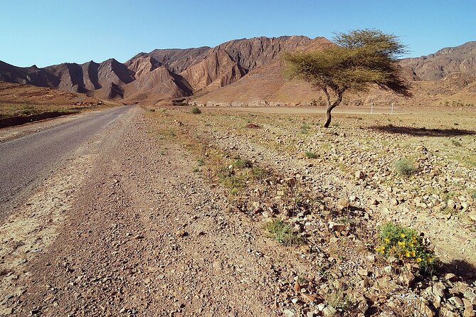 Private Desert Tour From Marrakech To Fes Via Desert Sahara - Price vs. Value: Why $544.25 Can Make Sense