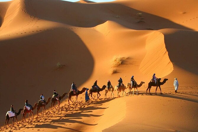 Private Desert Tour From Marrakech To Fes Via Desert Sahara - The Real Experience: Who This Tour Fits Best
