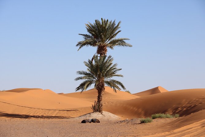 Private Desert Tour To Draa Valley And Zagora From Marrakech - Ounila Valley Stop: Caravan-Route History on the Way Down