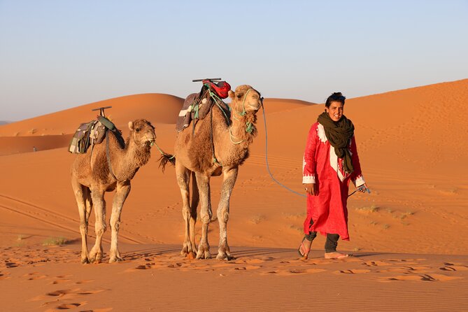 Private Desert Tour To Draa Valley And Zagora From Marrakech - Price and Value: Why $298.88 Can Make Sense Here