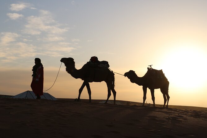 Private Desert Tour To Draa Valley And Zagora From Marrakech - Ait Ben Haddou: UNESCO Fortified City and a Movie-Set Familiarity