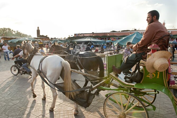Private Driver for a full day in Marrakech - Why a full-day private driver works so well in Marrakech
