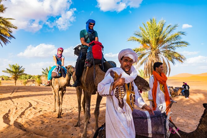 Private Driver for a full day in Marrakech - Common gotchas (and how to avoid them)