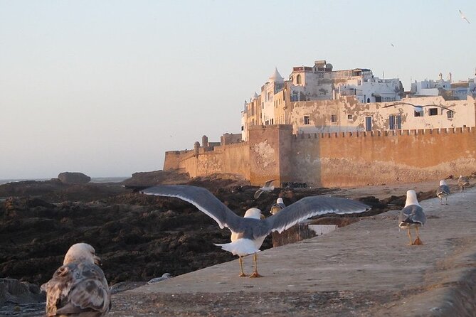 Private Essaouira Day Trip From Agadir - Key Points Before You Go