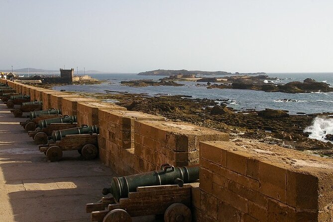 Private Essaouira Day Trip From Agadir - Tree-Climbing Goats, Berber Mint Tea, and the Argan Oil Workshop