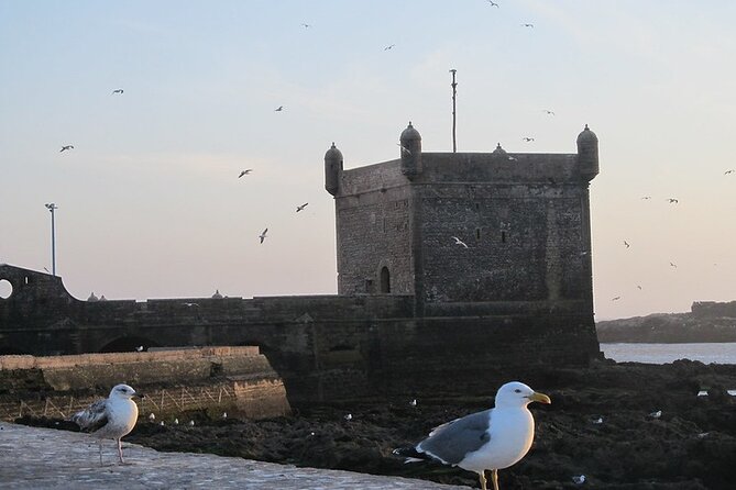 Private Essaouira Day Trip From Agadir - Price and Value: What $174.22 Per Person Buys You