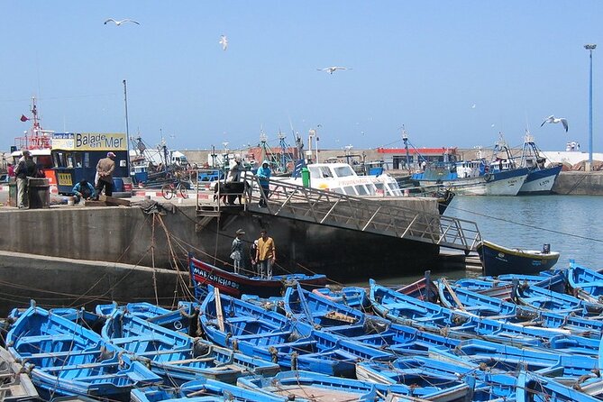 Private Essaouira Day Trip From Agadir - Morning Depart From Agadir: 7:55 Pickup and the Drive North