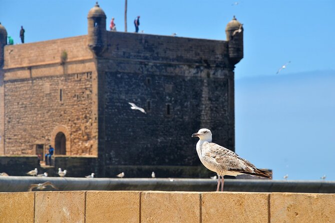 Private : Essaouira day trip from Marrakech - Beaches, wind, and a relaxed way to spend the afternoon