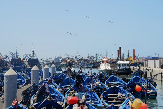 Private : Essaouira day trip from Marrakech - Price and value: what you’re paying for at $215.12 per person