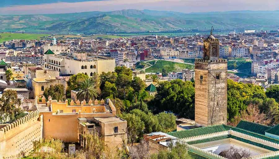 Private Exclusive Full day Fes Medina Tour with Guide - Key highlights you’ll feel the most