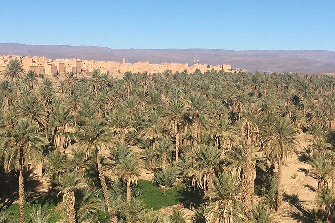 Private Excursion from Ouarzazate to Gorges Dades, Valley of Roses and Skoura - Lunch in the partner restaurant: what’s included and why it helps