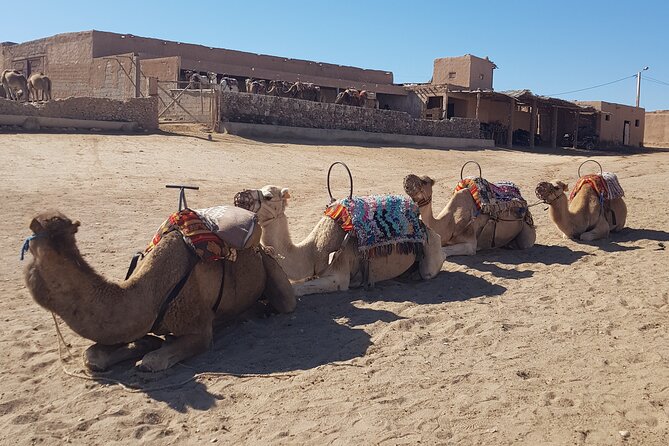 Private Excursion in the Agafay Desert - Key Highlights You’ll Actually Care About