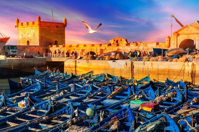 Private excursion to Essaouira - Key Highlights You’ll Actually Care About