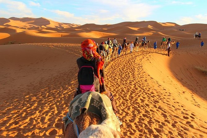 Private Fez to Marrakech Via Merzouga desert tour 3days - Who should book this, and who should ask questions first